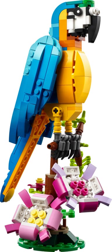 LEGO Creator Eksoottinen papukaija 31136