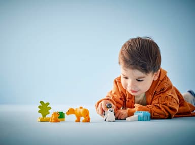 LEGO DUPLO Town Luonnoneläinperheet: pingviinit ja leijonat 10442