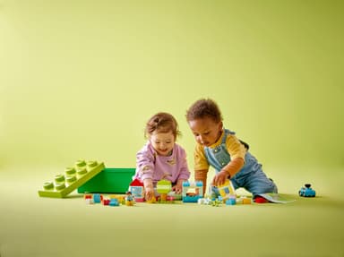 LEGO DUPLO Classic Palikkarasia 10913