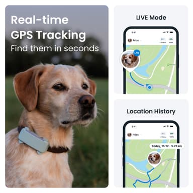 Tractive Dog 6 GPS paikannin koirille (minttu)