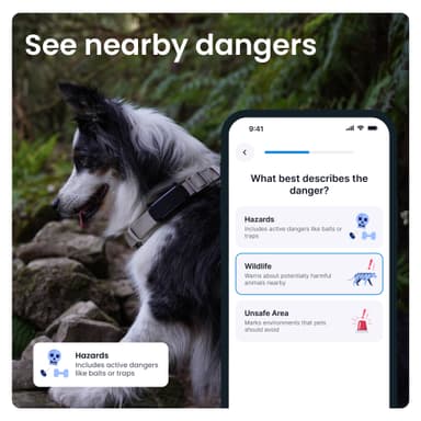 Tractive Dog 6 GPS paikannin koirille (musta)