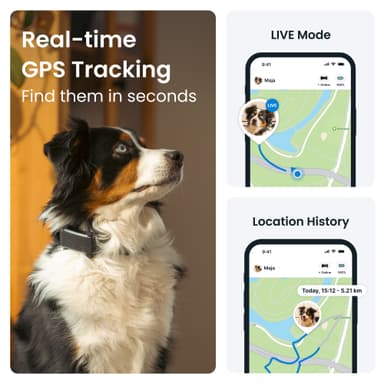 Tractive Dog 6 GPS paikannin koirille (musta)