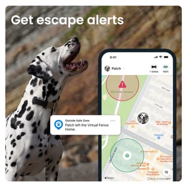 Tractive Dog 6 GPS paikannin koirille (musta)