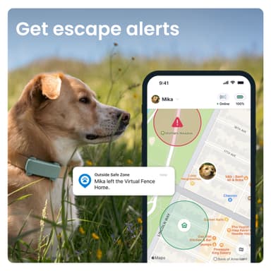 Tractive Dog 6 GPS paikannin koirille (minttu)