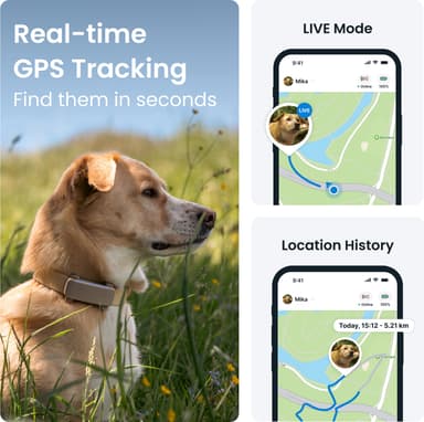Tractive Dog 6 GPS paikannin koirille (ruskea)