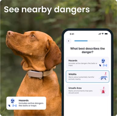 Tractive Dog 6 GPS paikannin koirille (ruskea)