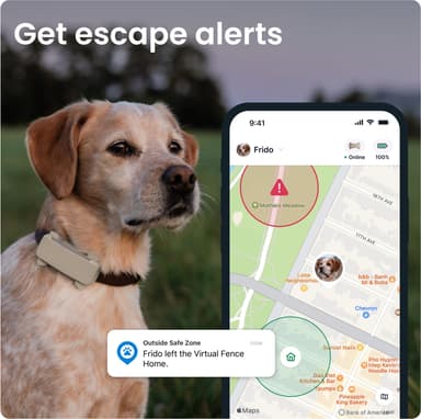 Tractive Dog 6 GPS paikannin koirille (ruskea)