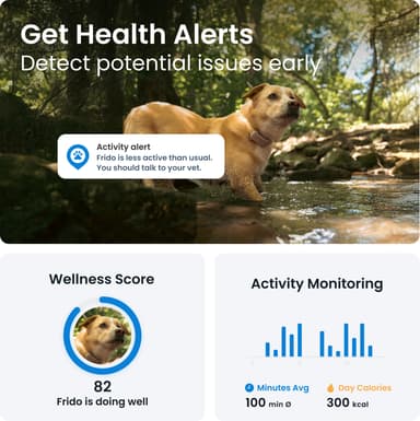 Tractive Dog 6 GPS paikannin koirille (ruskea)