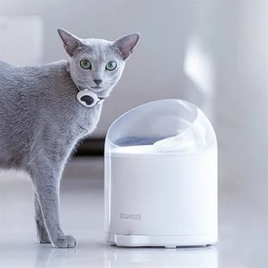 Catlink Pure 2 lemmikkieläinten vedenlähde 2.6L