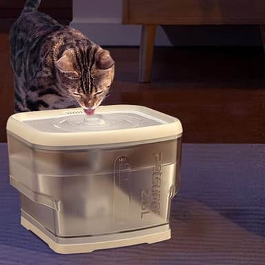 Petsuper lemmikkieläinten vesilähde 2.5L hiljaisella toiminnalla ja langattomalla pumpulla - valkoinen