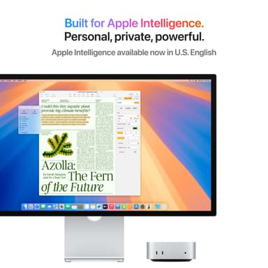 Mac mini M4/24/512 2024