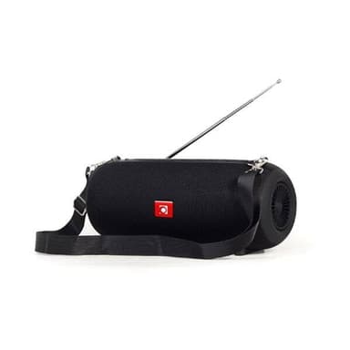 Kannettava Bluetooth-kaiutin FM-radiolla - Svart