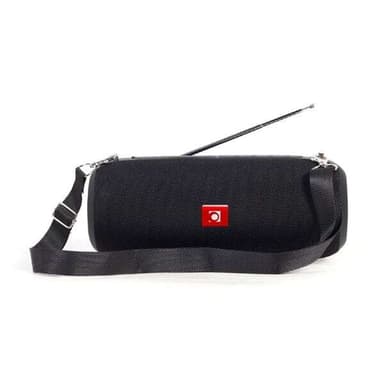 Kannettava Bluetooth-kaiutin FM-radiolla - Svart