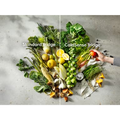 Electrolux Jääkaappipakastimet LTB1AE28W0