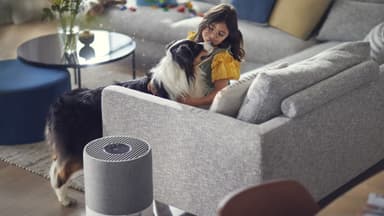 Philips Series 3000 ilmanpuhdistimen suodatin FY343030