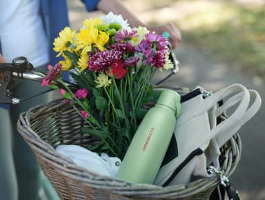 Sodastream Fizz & GO hiilihapotuspullo 1062402980 (minttu)