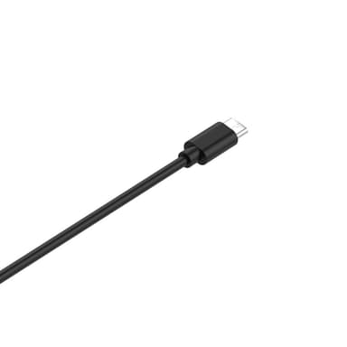 Laturi Garmin Lily / Lily 2 USB-C-liittimelle