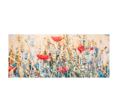 Seinätaide PICTURE LAND 50x120cm, printti