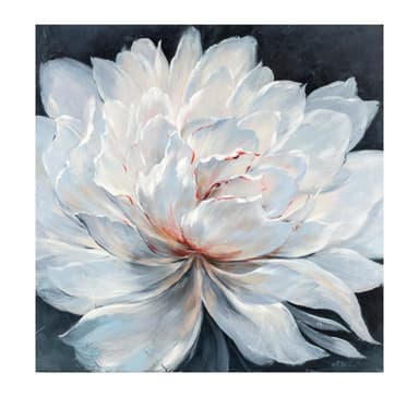 Öljymaalaus 100x100cm, valkoinen kukka