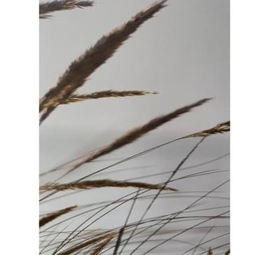 Seinätaide WALLY 50x140cm, housut