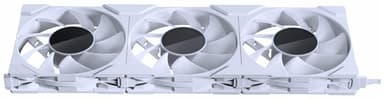 Phanteks M25 Gen2 DRGB 140 mm PWM tuuletin (valkoinen/3 kpl)