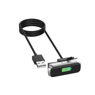 Latauskaapeli 100cm Samsung Galaxy Fit 2 SM-R220