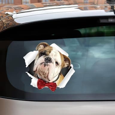 Autotarra Englanninbulldoggi