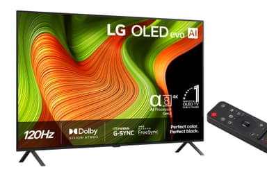 LG 48" B5 4K LG OLED Display certified for 100% Color Fidelity and 100% Color Volume, Pixel dimming technology, Perfect Black certified. Eye Comfort Display certified, low blue light and flicker free display. TV (2025)