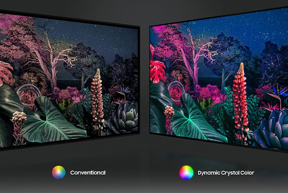 Samsung-TV-AU8005 - Kaksi näyttöä värikkäillä kasveilla