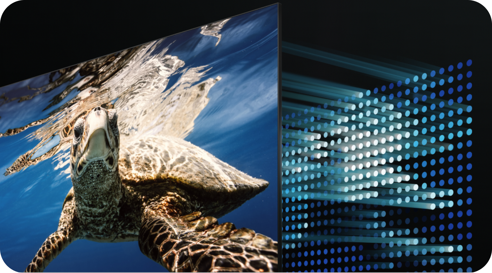 Samsung TV ja Direct Full Array kilpikonna uimassa meressä