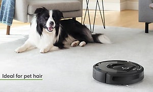iRobot Roomba i7+ ja koira
