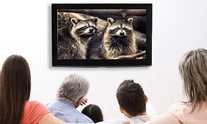 perhe katselemassa valokuvia Apple TV:n näytöltä