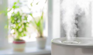 Ilmankostutin sumuttaa vesihöyryä huoneeseen, taustalla huonekasveja