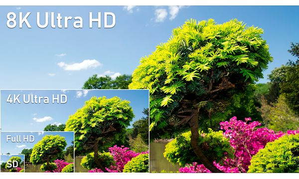 4K- ja 8K-vertailukuva, joka näyttää kuvan värikkäästä puusta eri resoluutioilla