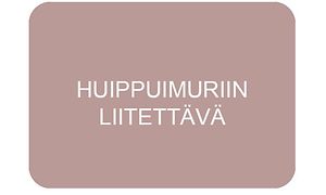 Huippuimuriin liitettävä liesituuletin