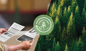 HP forest first-kollaasi