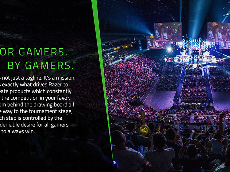 Razer - for gamers, by gamers