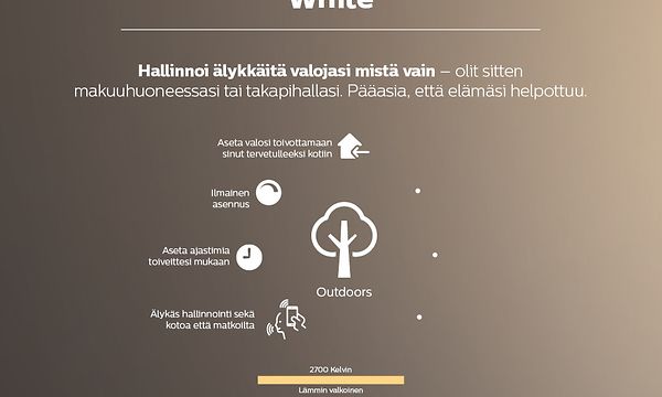 Philips Hue White valojen ominaisuudet.