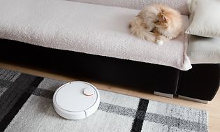 Kissa sohvalla ja robotti-imuri lattialla