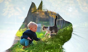 Lapsi istuu kukkulalla kissan kanssa