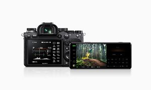 Sony-järjestelmäkamera ja Xperia PRO-I vierekkäin valkoista taustaa vasten