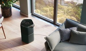 Musta Electrolux Pure A9 ilmanpuhdistin vaalean sohvan vieressä vaaleassa olohuoneessa