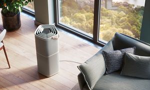 Korkea harmaa Electrolux Pure A9 ilmanpuhdistin ikkunan edessä vaaleassa olohuoneessa vaalean sohvan vieressä
