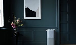 Korkea harmaa Electrolux Pure A9 ilmanpuhdistin kukkamaljakon vieressä tummassa huoneessa
