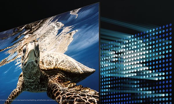 Samsung-TV-Q80A-TV ja näytössä uiva kilpikonna