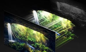 Samsung-TV-QN800A- Näyttöjä ja luontoa