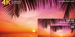 4K Ultra HD TV -näyttö jossa näkyy palmun oksia ja meri auringonlaskun aikaan