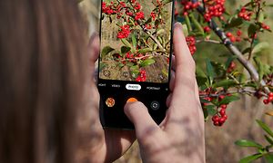 OnePlus - Henkilö ottaa kuvaa kukasta puhelimellaan