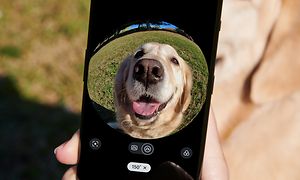 OnePlus - Kamera ottaa kuvan koirasta kalansilmäefektillä