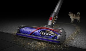 Lähikuva Dyson V10 -pölynimurista imuroimassa lemmikkikarvoja matolta ja koira taustalla